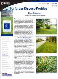 Turfgrass Disease Profiles: Rust Diseases