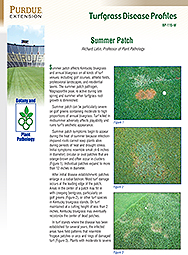 Turfgrass Disease Profiles: Summer Patch
