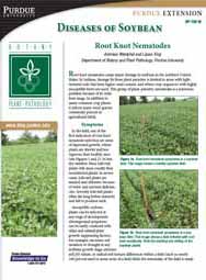 Diseases of Soybean: Root Knot Nematode