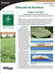 Diseases of Soybean: Frogeye Leaf Spot