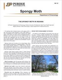 The Spongy Moth in Indiana