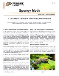 Q & A's About Using BtK to Control Spongy Moth