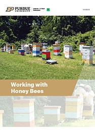 Working with Honey Bees