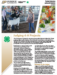 Judging 4-H Projects