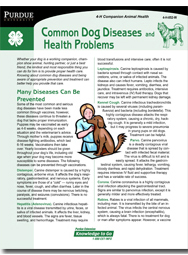 Common Dog Diseases and Health Problems