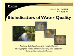 Bioindicators of Water Quality Flash Cards (mobile version)