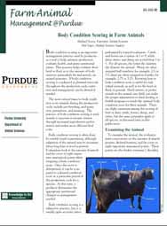 Body Condition Scoring in Farm Animals