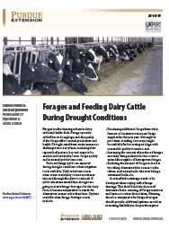 Forages and Feeding Dairy Cattle During Drought Conditions