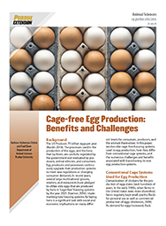 Cage-free Egg Production:  Benefits and Challenges