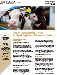 Use of Technology to Detect Bovine Respiratory Disease in Cattle