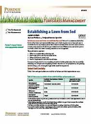 Turfgrass Management: Establishing a Lawn From Sod
