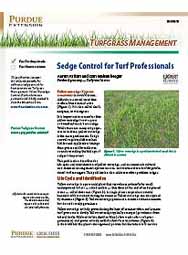 Turfgrass Management: Sedge Control for Turf Professionals