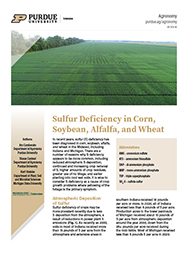 Sulfur deficiency in corn, soybean, alfalfa, and wheat