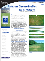 Turfgrass Disease Profiles: Leaf Spot/Melting Out