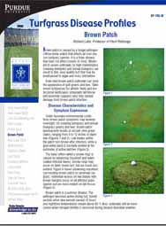 Turfgrass Disease Profiles: Brown Patch
