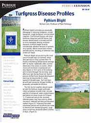 Turfgrass Disease Profiles: Pythium Blight