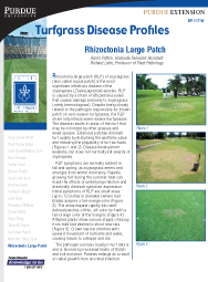 Turfgrass Disease Profiles: Rhizoctonia Large Patch