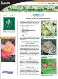 Diseases of Landscape Plants: Leaf Diseases