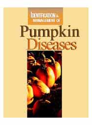 Identification and Management of Pumpkin Diseases