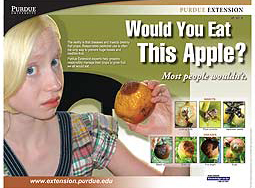 Would You Eat This Apple? poster