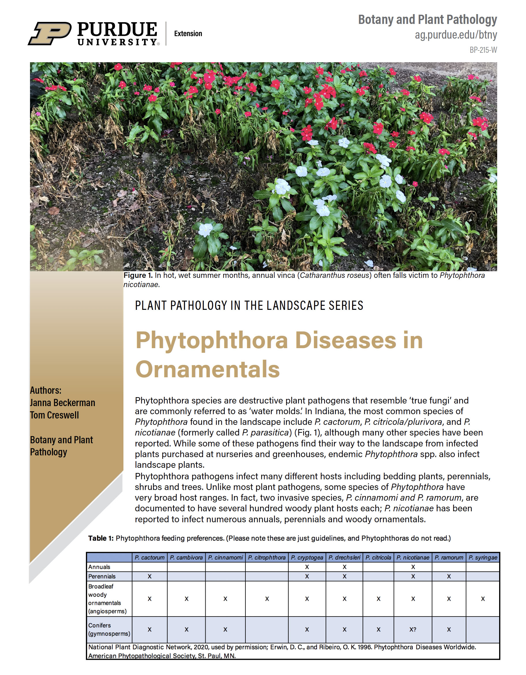 Phytophthora Diseases in Ornamentals