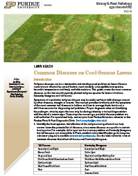 Common Diseases on Cool-Season Lawns