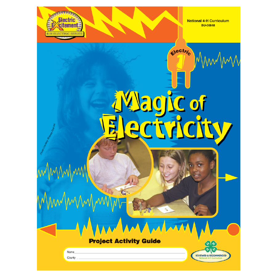 stephen king electricity book