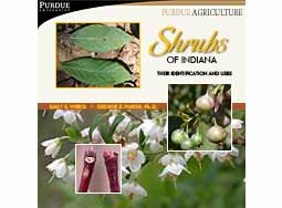 Shrubs of Indiana: Their Identification and Uses