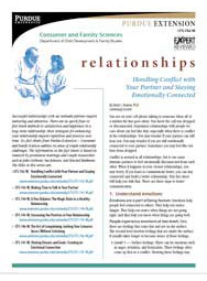 Handling Conflict with Your Partner and Staying Emotionally Connected (Relationships series)