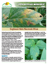 Soybean Disease Management: Soybean Vein Necrosis Virus