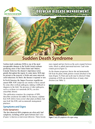 Soybean Disease Management: Sudden Death Syndrome