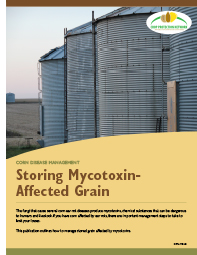 Corn Disease Management: Storing Mycotoxin-affected Grain