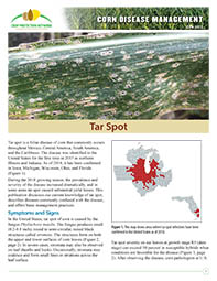 Corn Disease Management: Tar Spot