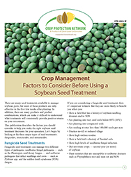 Crop Management: Factors to Consider Before Using a Soybean Seed Treatment