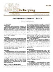 Using Honey Bees in Pollination