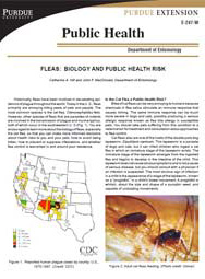 Fleas: Biology and Public Health Risk