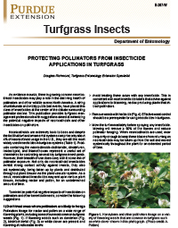 Turfgrass Insects: Protecting Pollinators from Insecticide Applications in Turfgrass