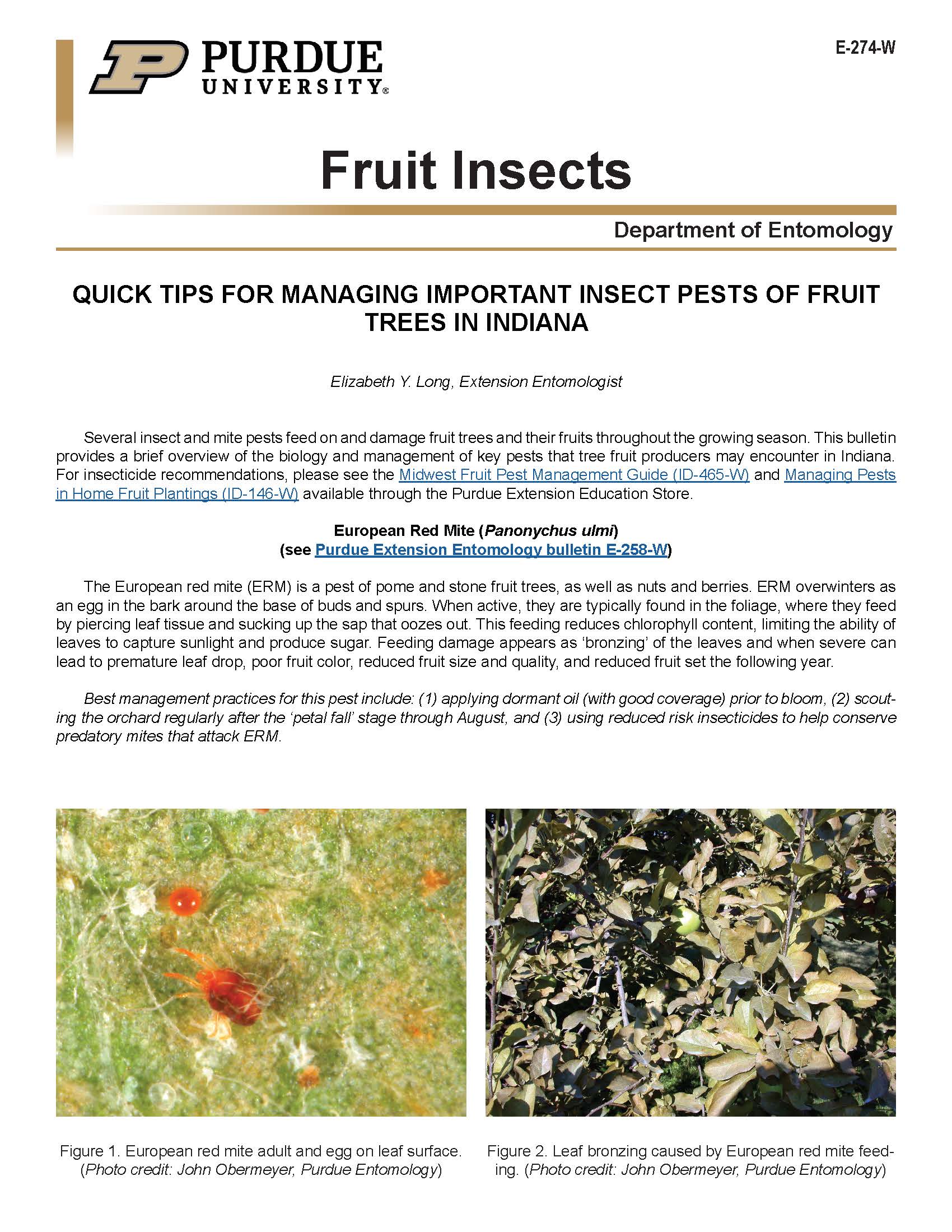 Quick Tips for Managing Important Insect Pests of Fruit Trees in Indiana