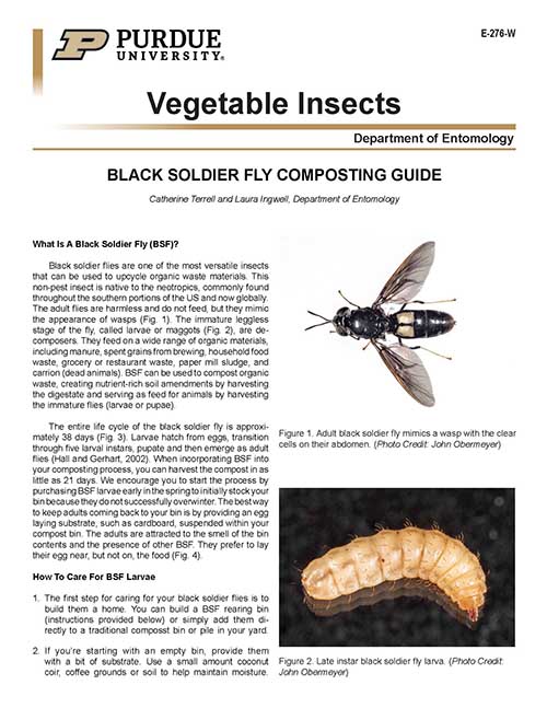 Black Soldier Fly Composing Guide