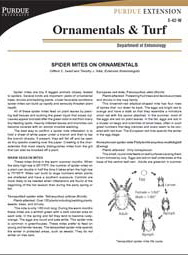 Spider Mites on Ornamentals