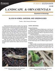 Slugs in Homes, Gardens and Greenhouses