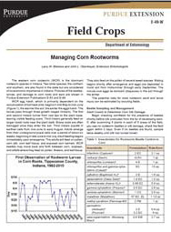 Managing Corn Rootworms - 2008
