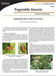 Managing Insect Pests of Potato