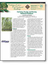 Fertilizing, Pruning, and Thinning Hardwood Plantations