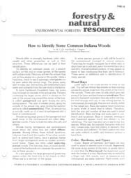 How to Identify Some Common Indiana Woods