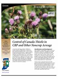 Control of Canada Thistle in CRP and Other Noncrop Acreage