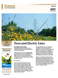 Trees and Electric Lines