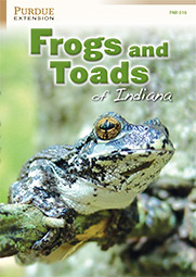 Frogs and Toads of Indiana