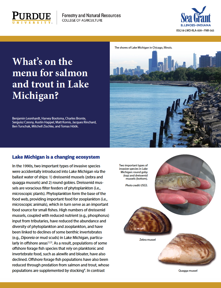 Diets of Lake Michigan Salmonids
