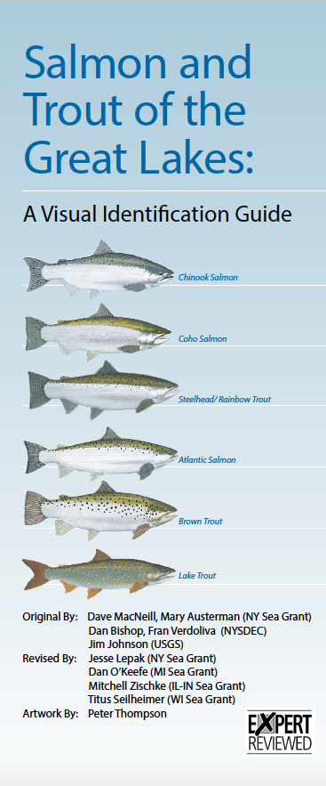 Salmon and Trout of the Great Lakes: A Visual Identification Guide